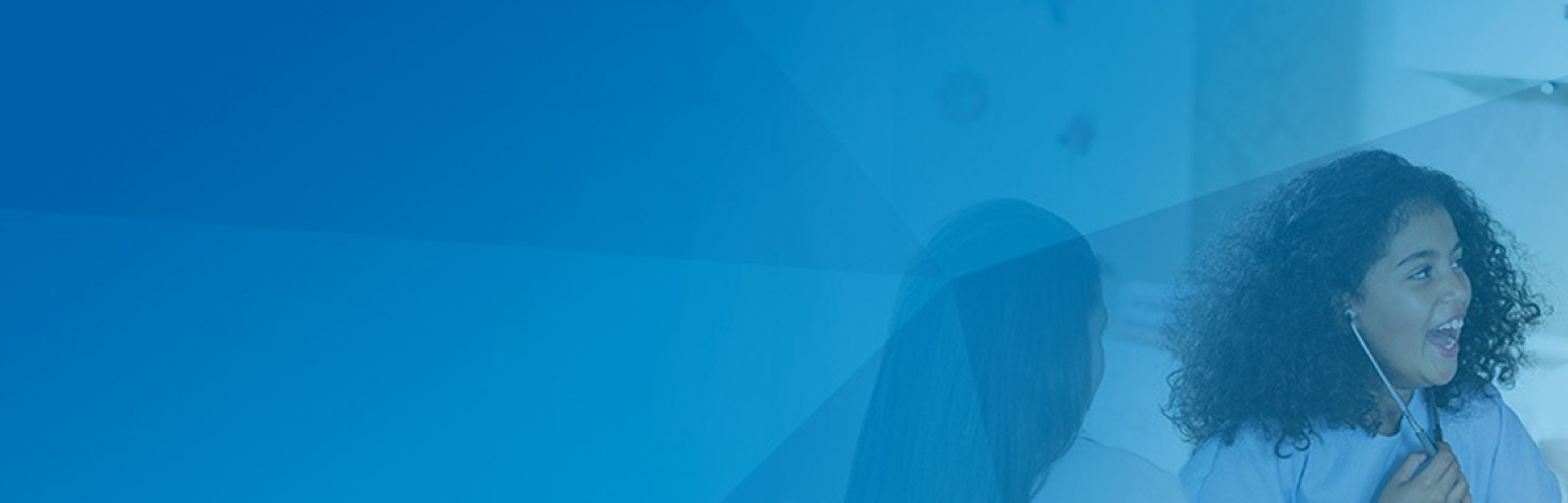 Banner PAUL HARTMANN