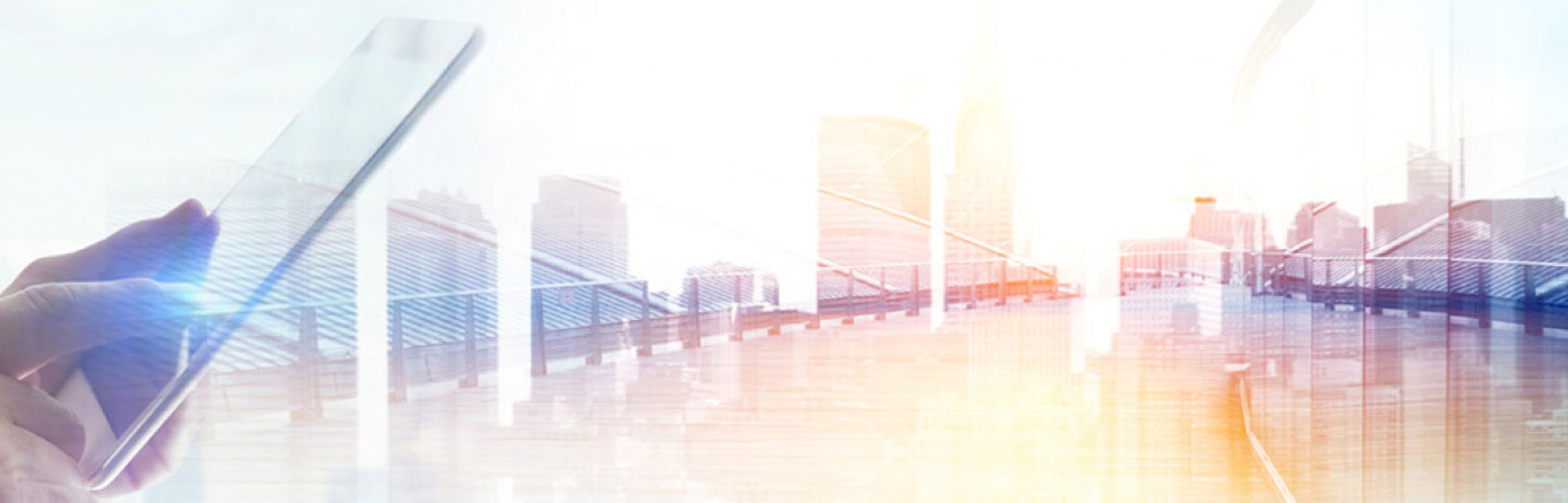 Banner Smart Home D.A.CH.