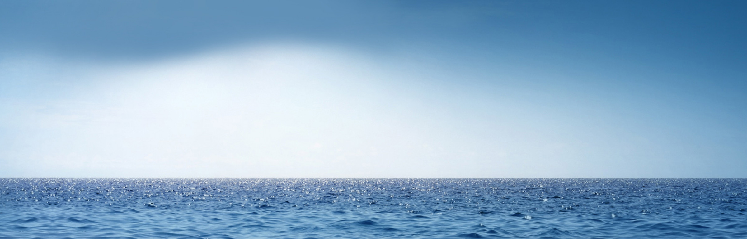 Banner Liberation Management