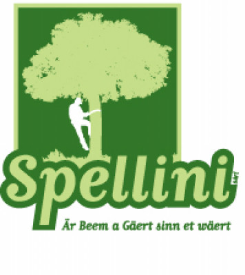 Logo Spellini Sarl