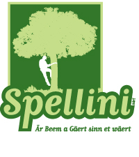 Spellini Sarl logo