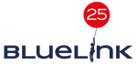 Logo BLUELINK INTERNATIONAL STRASBOURG