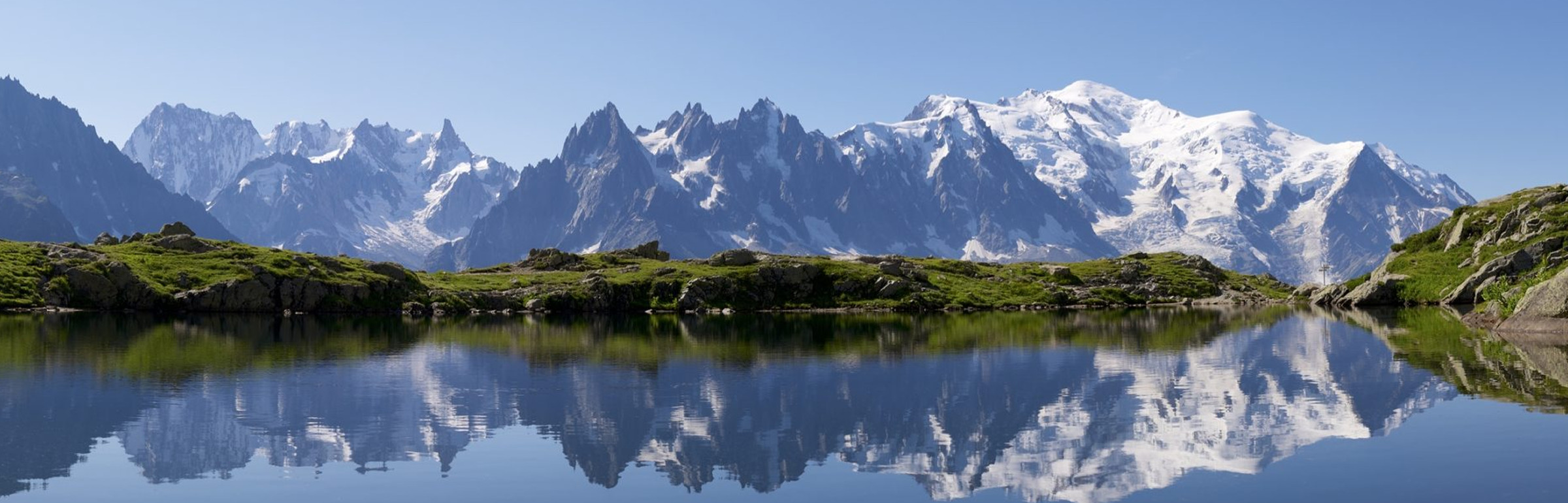 Banner Demy Schandeler