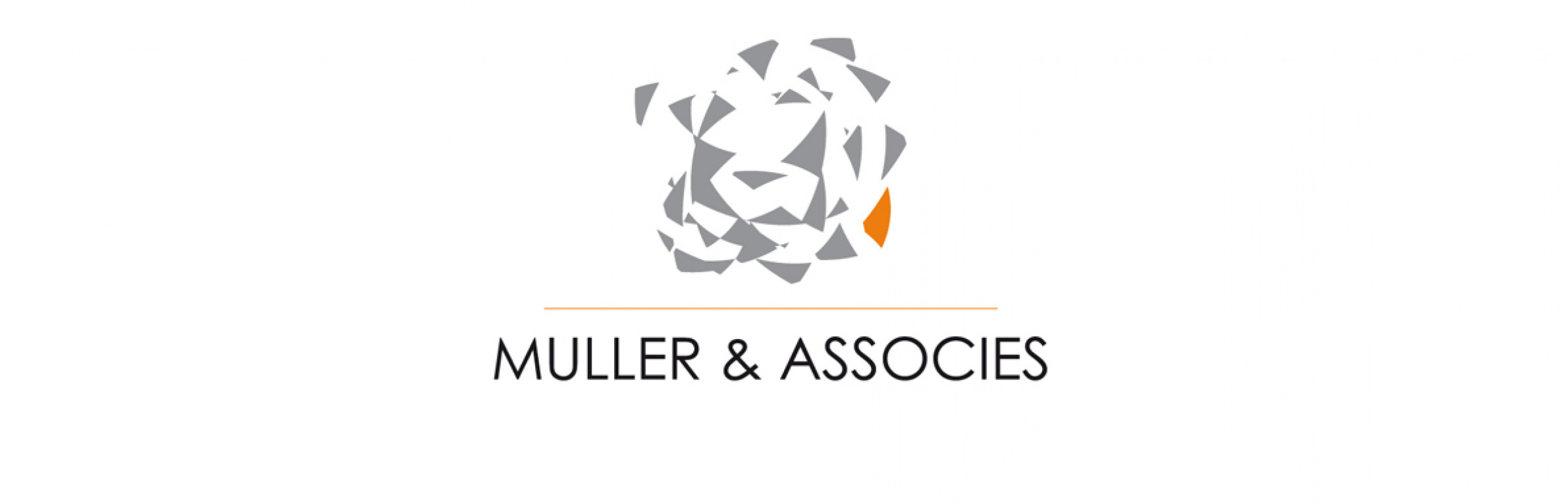 Banner Fiduciaire Muller & Associés S.A.