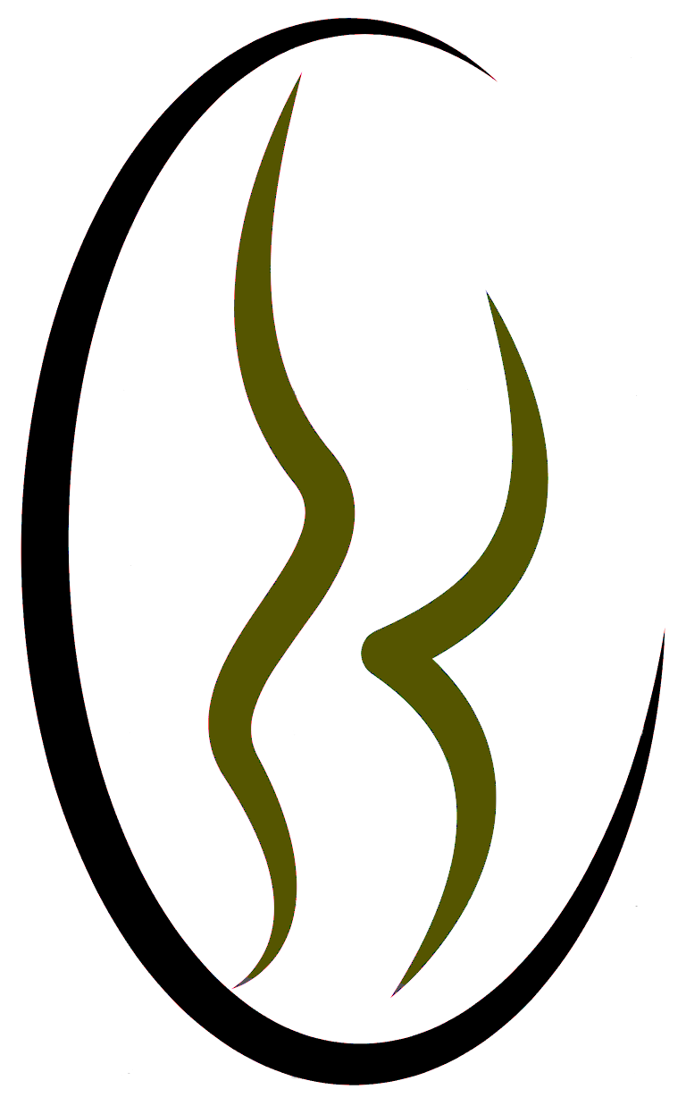 Cabinet de chirurgie Dr. Pourian logo