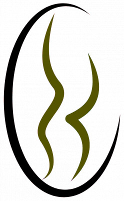 Logo Cabinet de chirurgie Dr. Pourian