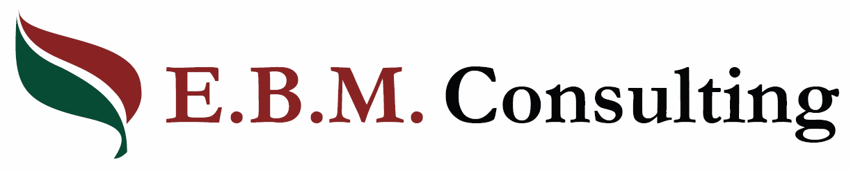 E.B.M.Consulting logo