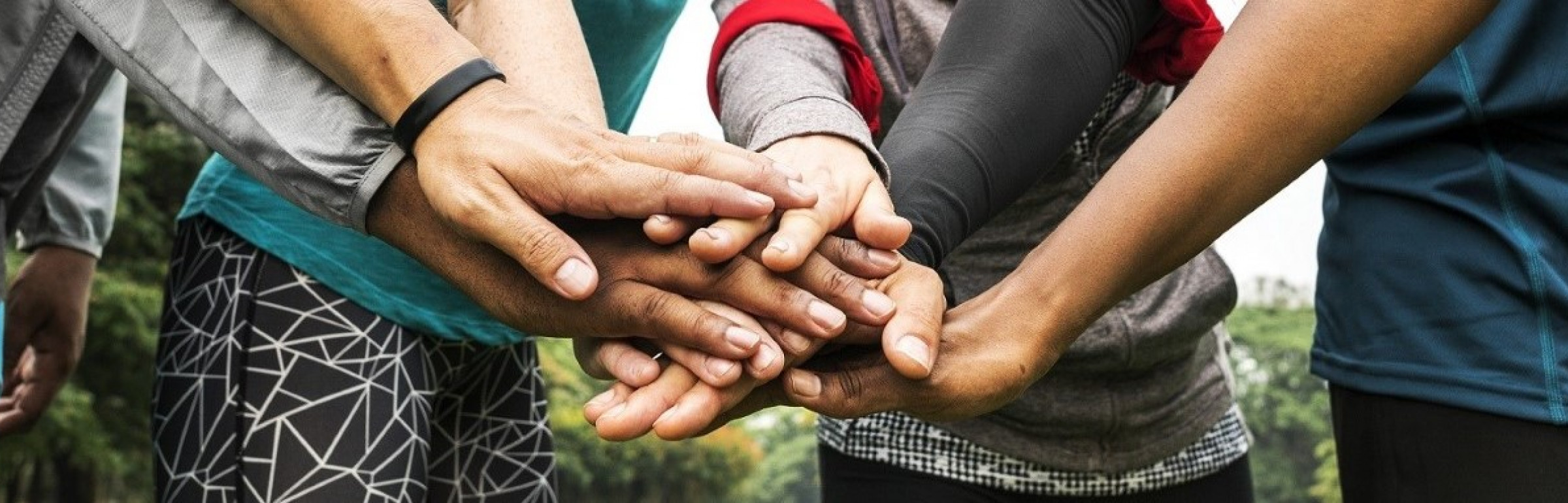 Banner E.B.M.Consulting