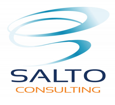 Logo SALTO Consulting