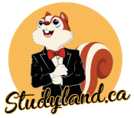 Logo studyland