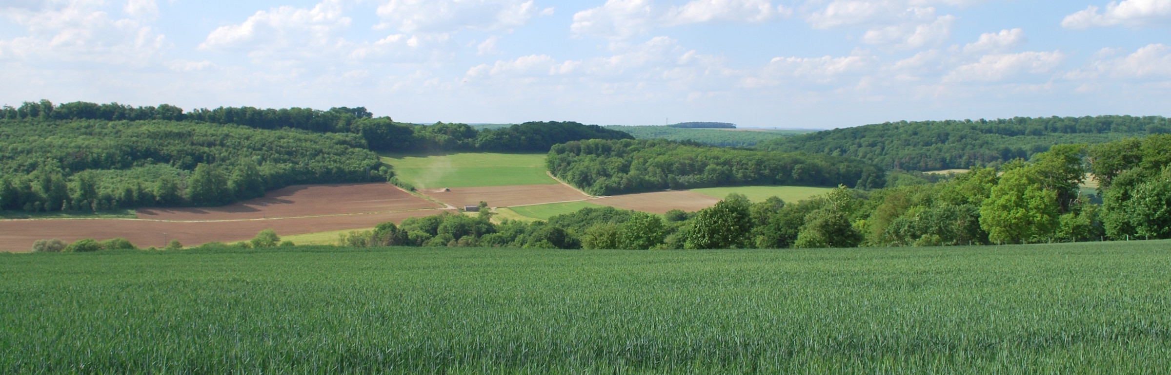 Banner TERRA G.O. Sàrl