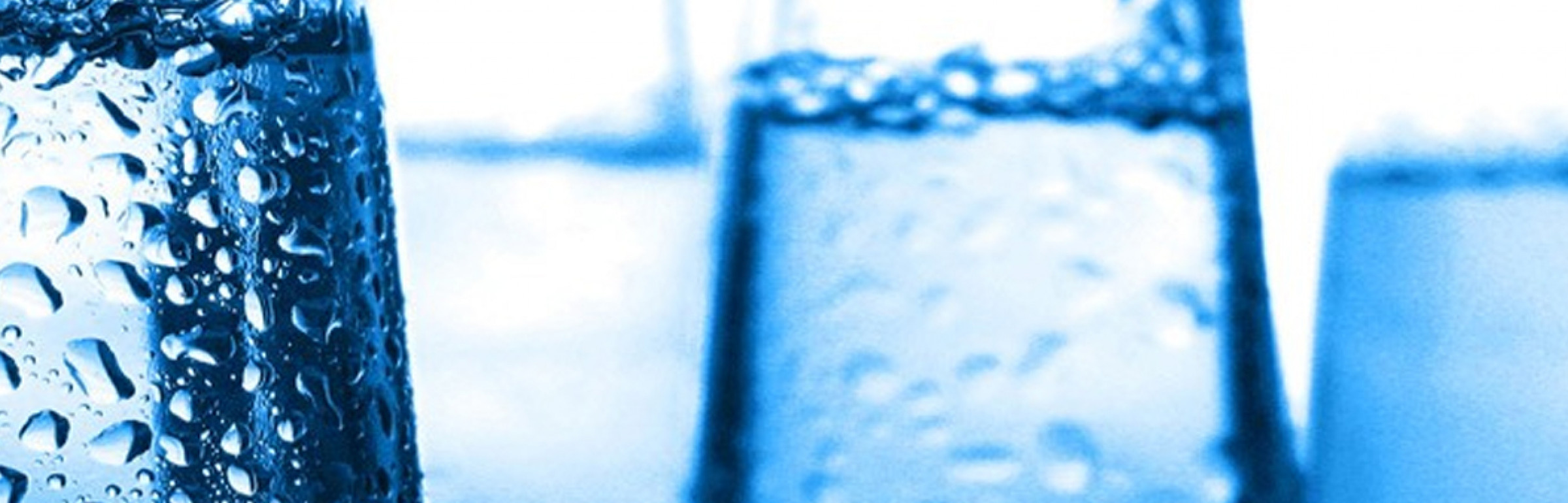 Banner ProMinent France S.A.S