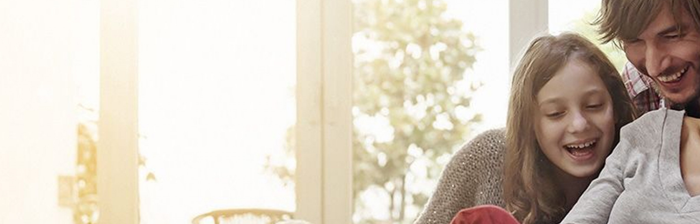 Banner EURO PROTECTION SURVEILLANCE