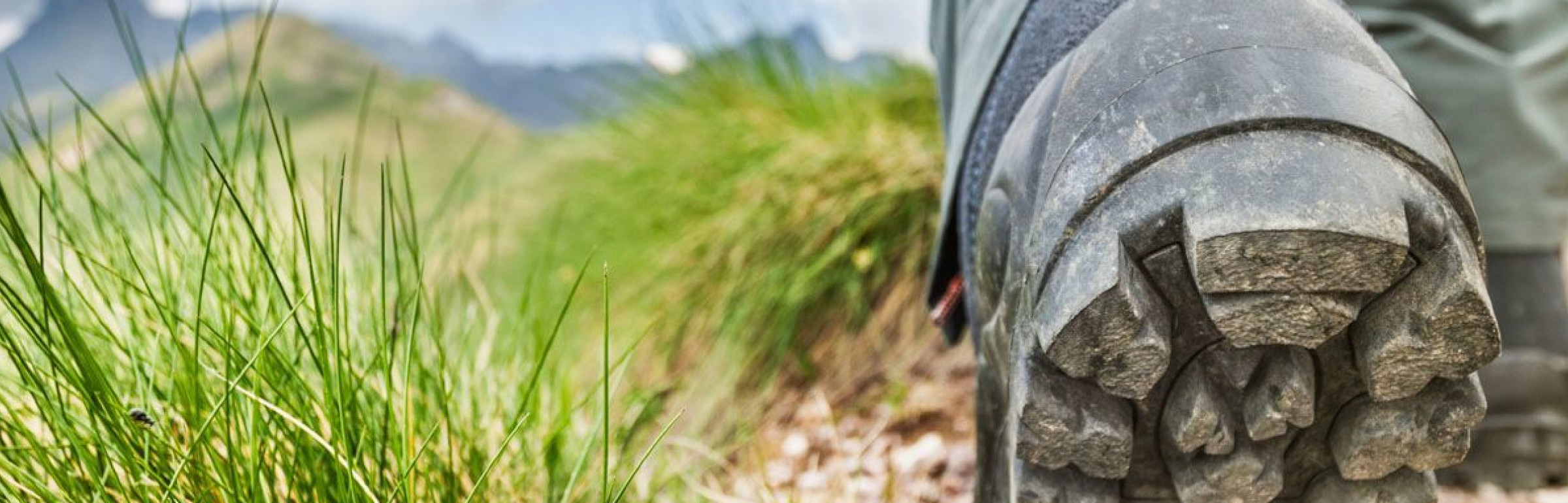 Banner Michelman International