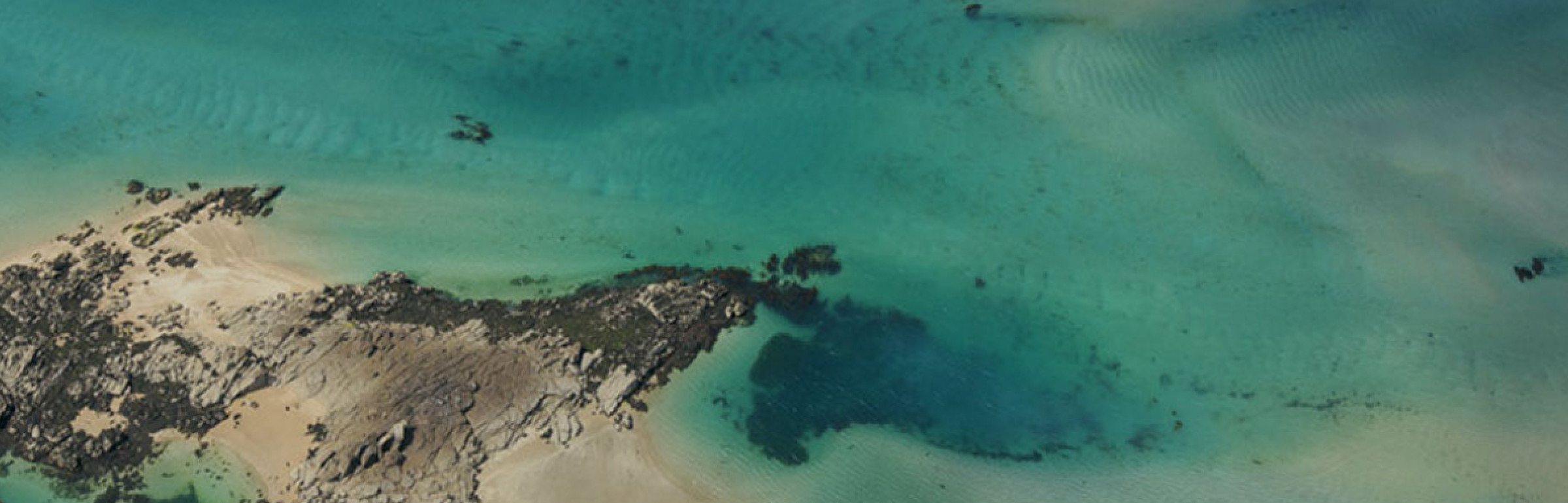 Banner Latitude Manche, Agence d'Attractivité