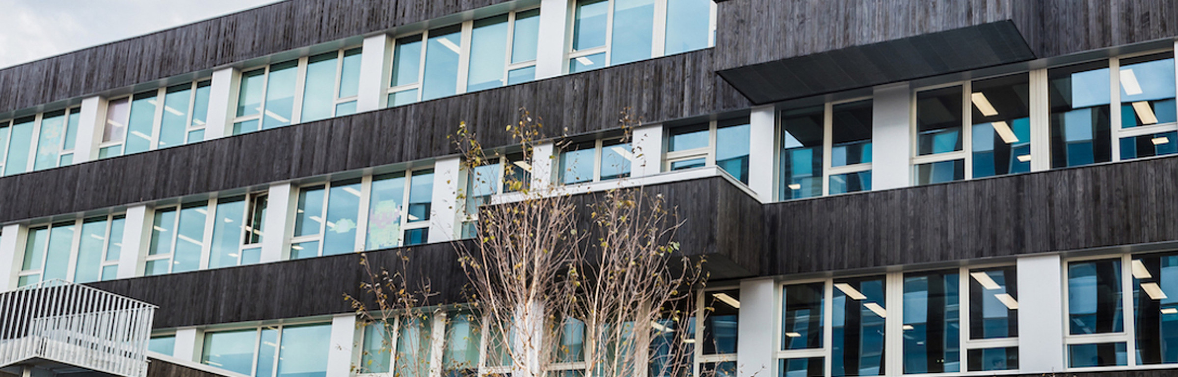 Banner IBM Services Center