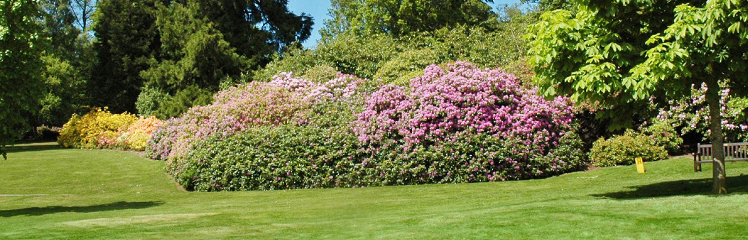 Banner BESCH A GAARDEN ZENTER