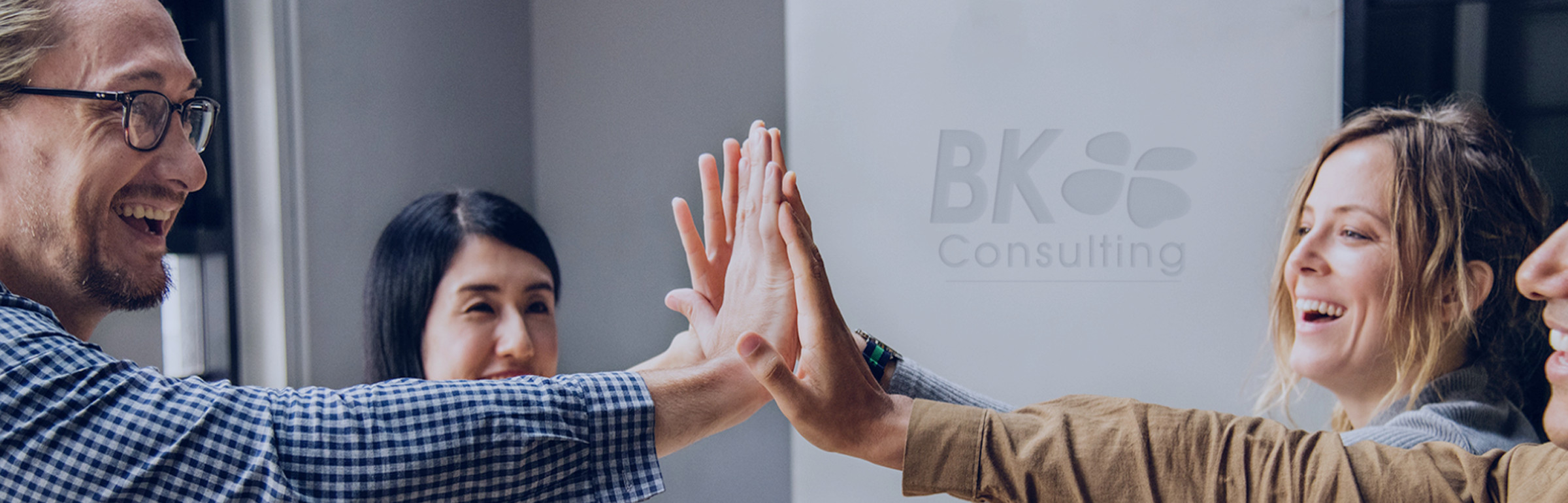 Banner BK CONSULTING